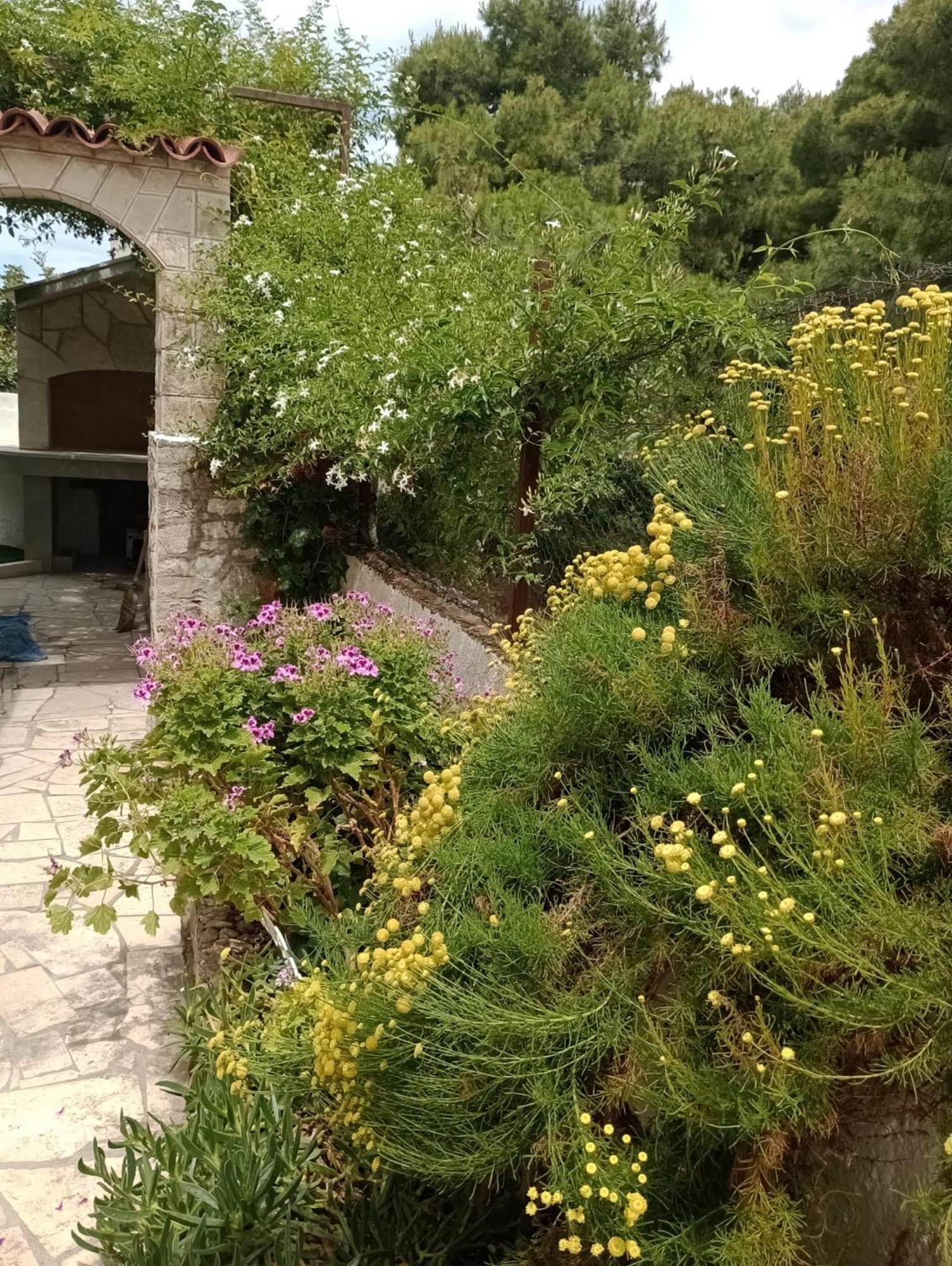 Kuca Za Odmor Skalina - Sea View Villa Splitska Room photo